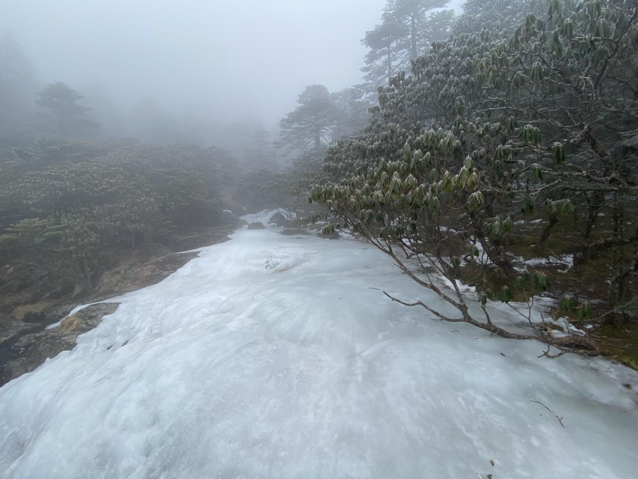 云南省文化和旅游厅