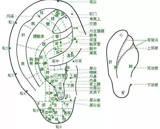 昆明市中医医院