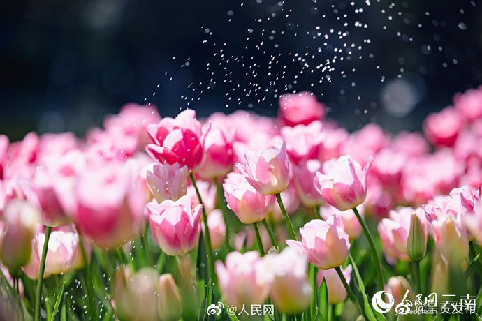 呈贡发布