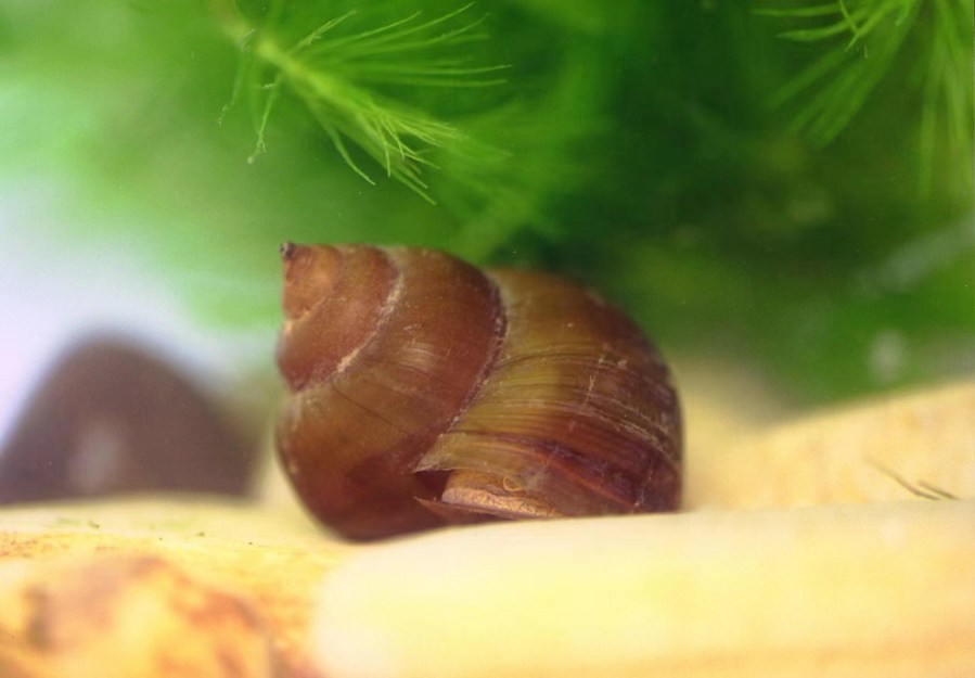 云南省文化和旅游厅