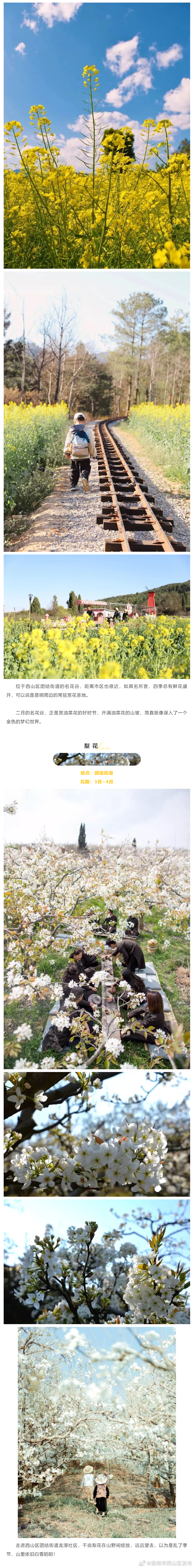 昆明市西山区发布
