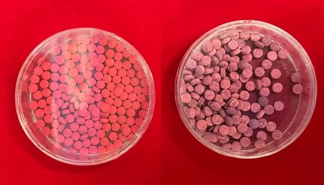 美丽云南微科普