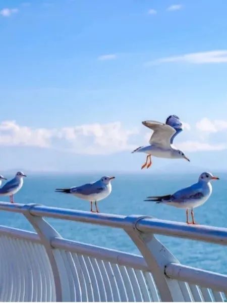 昆明文旅