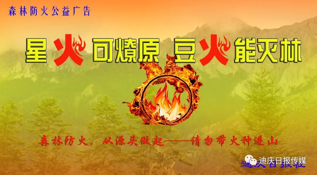 迪庆日报传媒