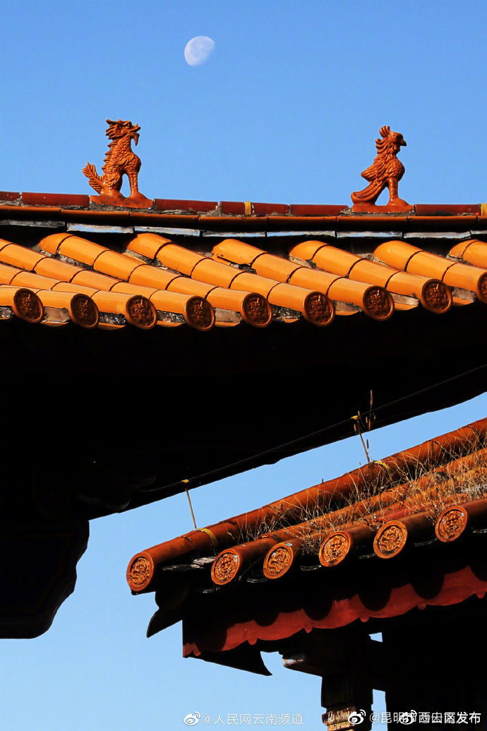 昆明市西山区发布