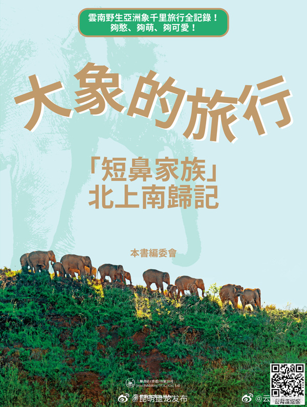 书讯|《大象的旅行——“短鼻家族”北上南归记》全景记录“短鼻家族”亚洲象的梦幻旅行