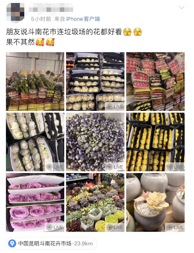 昆明信息港/cnkmxxg