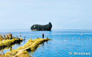滇池鲸鱼岛 带火乡村游