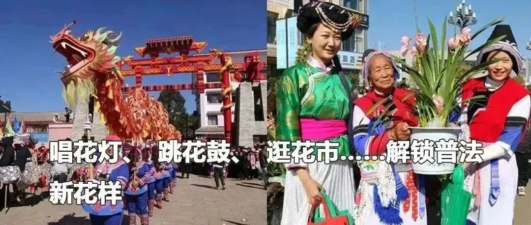 云南政法