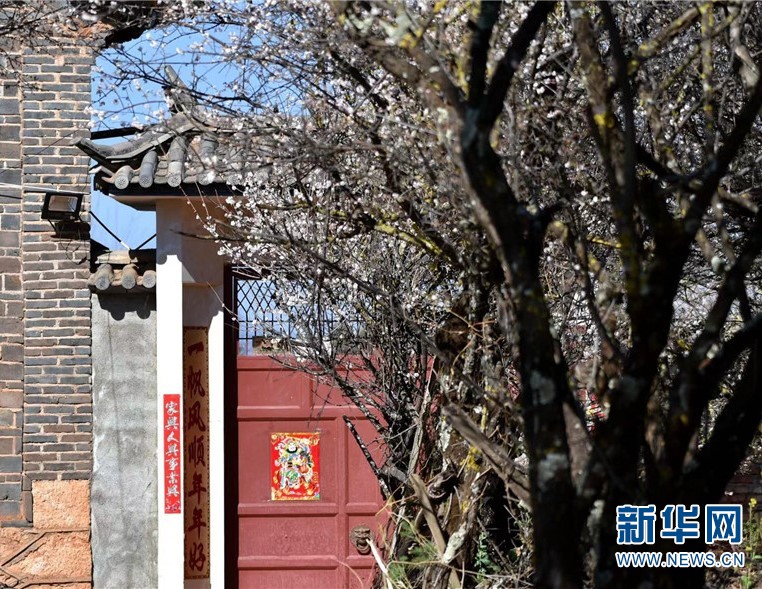 云南省文化和旅游厅