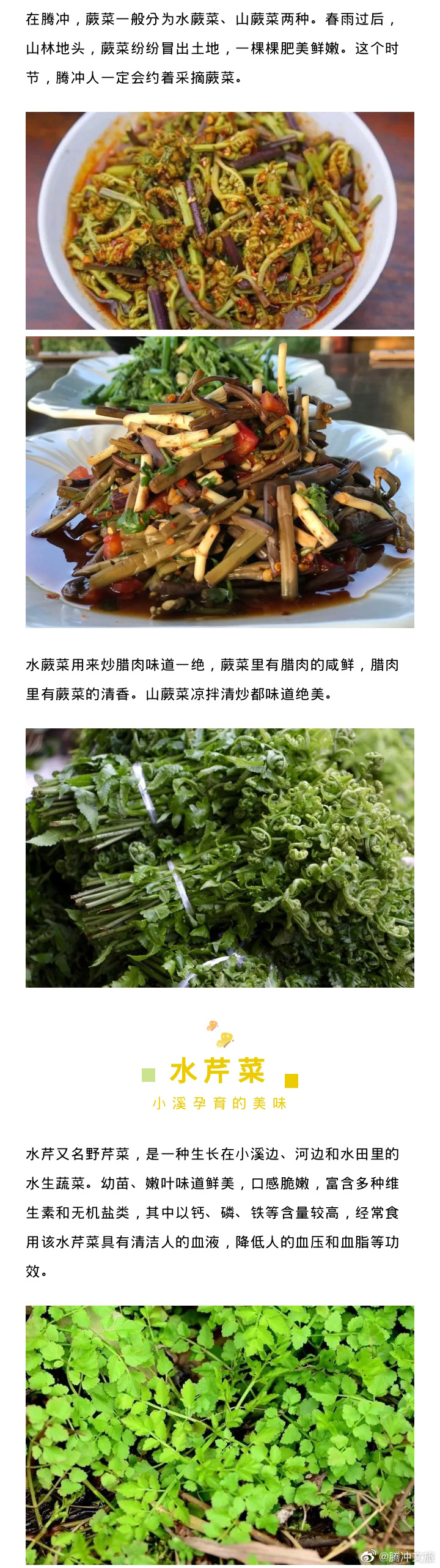 腾冲文旅微博