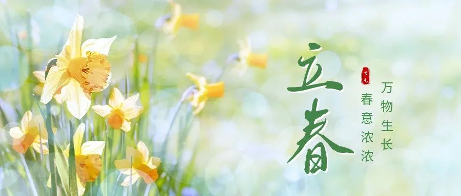 云南法制报