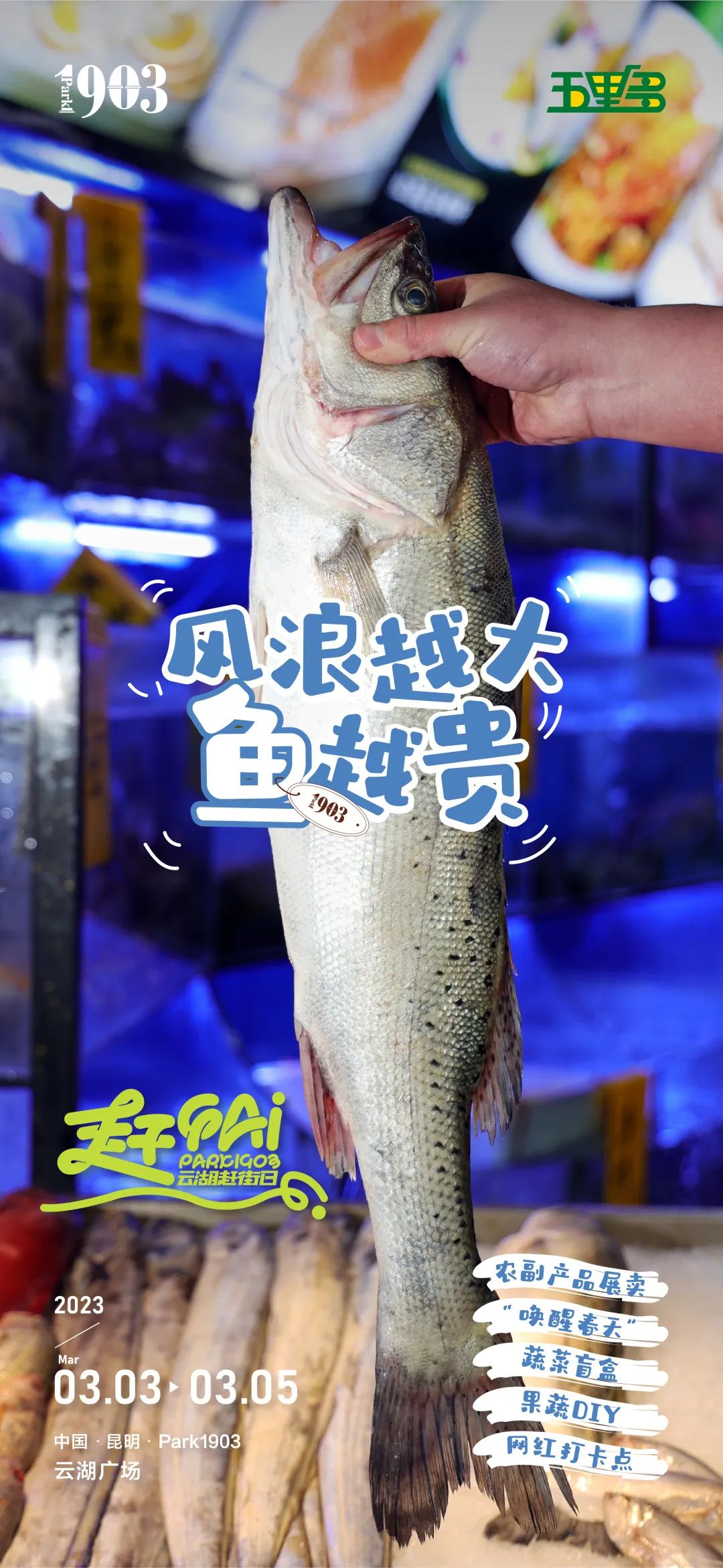 滇池度假发布
