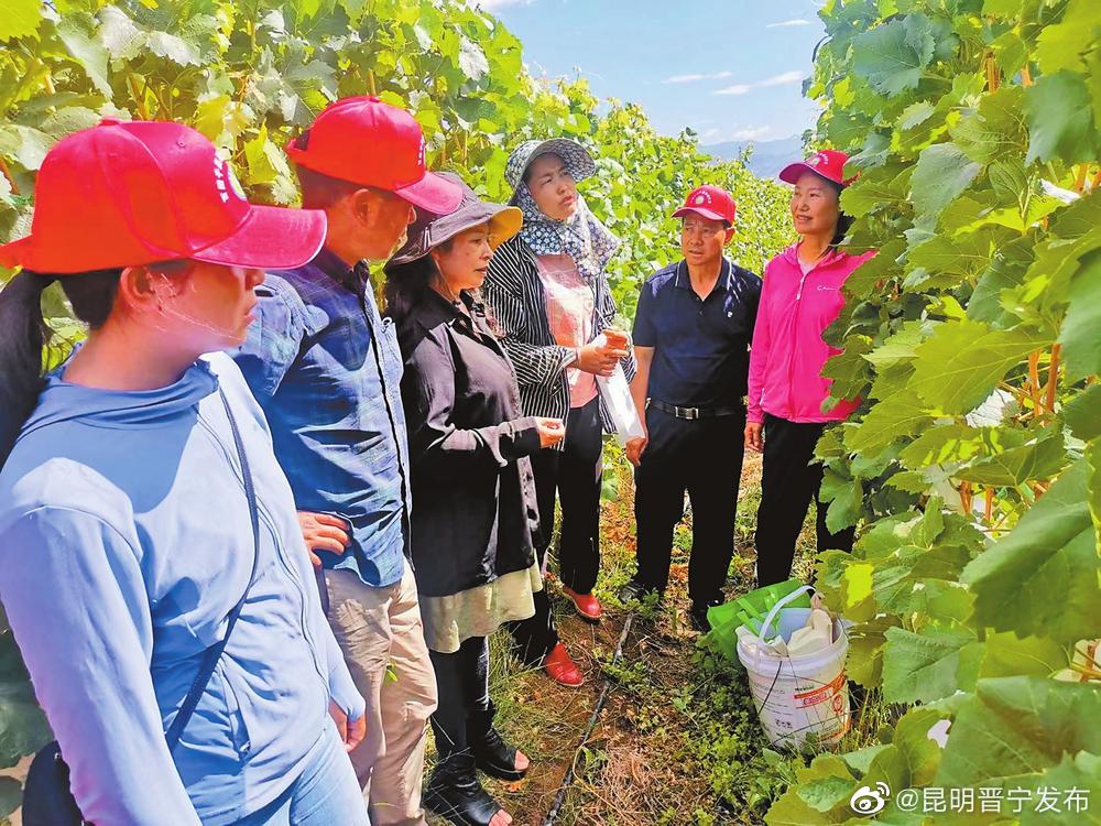 昆明晋宁发布