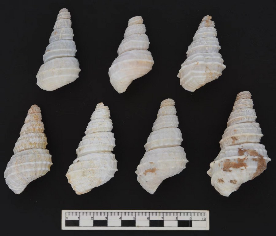 云南省文化和旅游厅