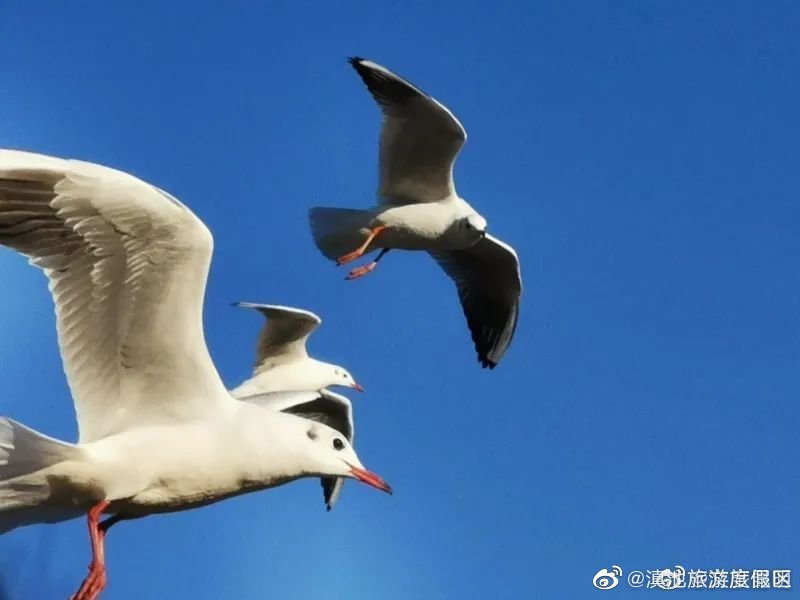 滇池旅游度假区