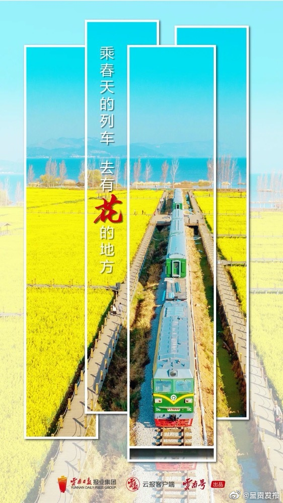 呈贡发布