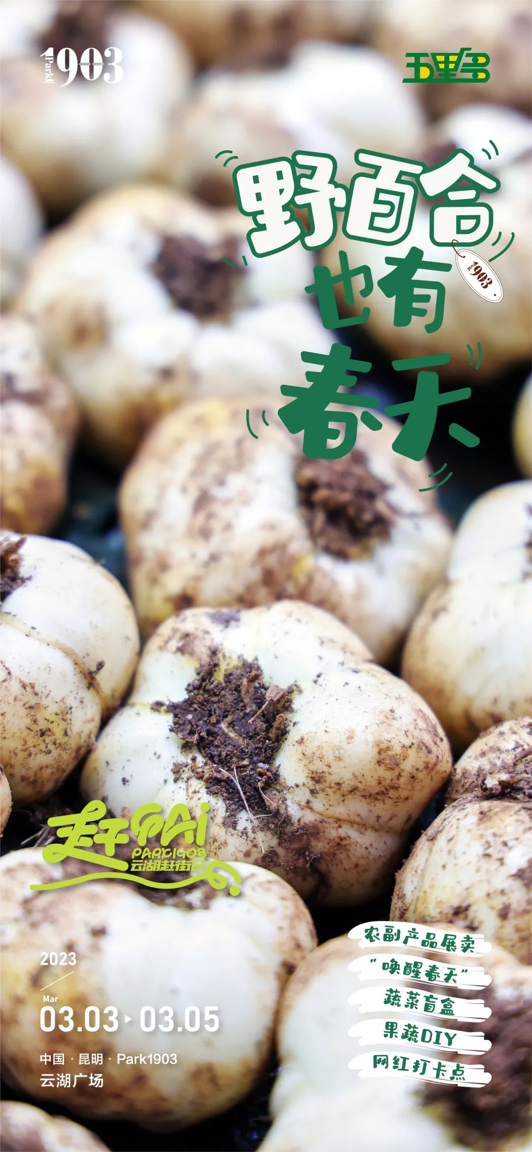 滇池度假发布