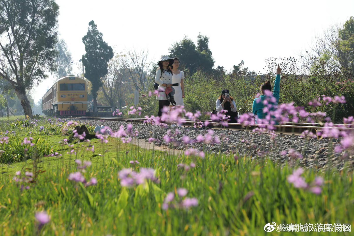 云南春节旅游收入规模和复苏力度均居全国前列