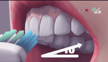 刷牙时要从难刷的地方开始 