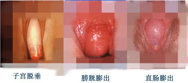 云南省中医医院