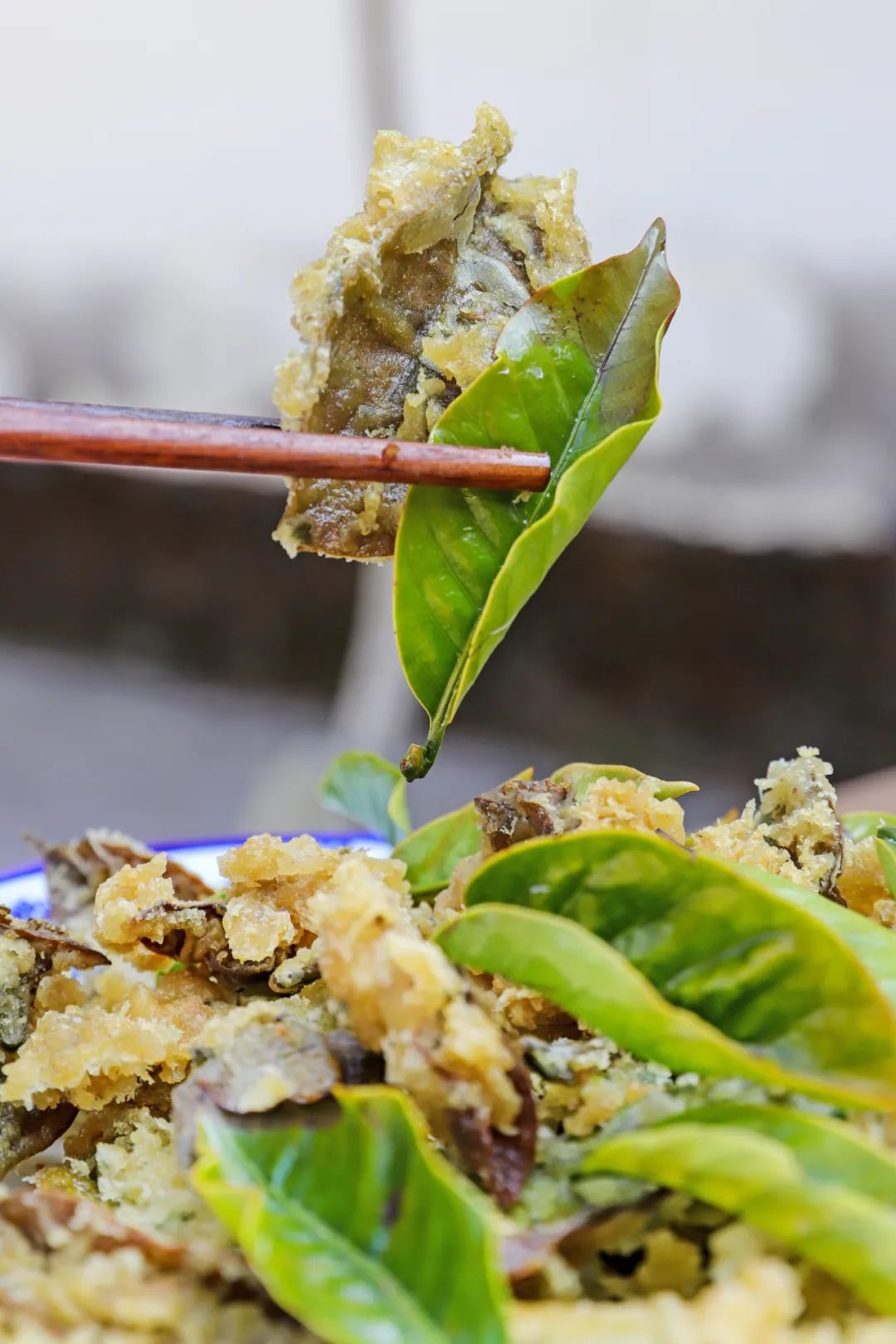 一部手机游云南