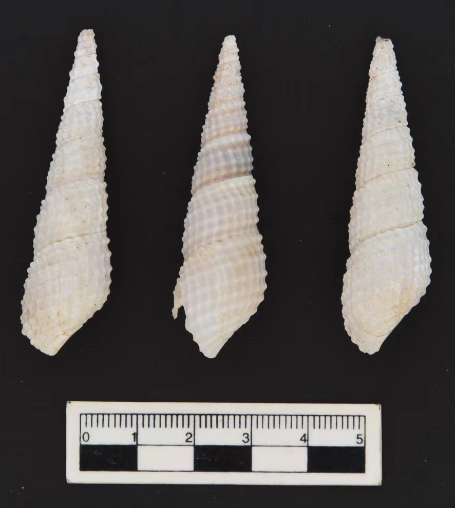 云南省文化和旅游厅