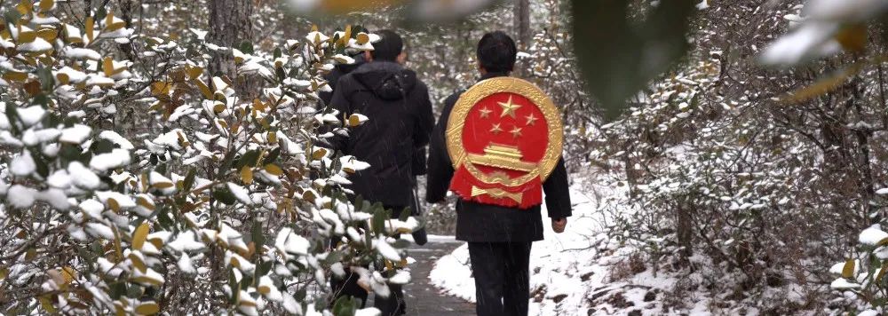 云南法制报