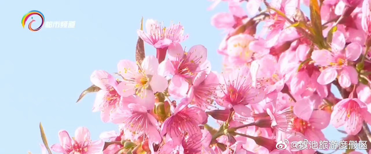 滇池旅游度假区