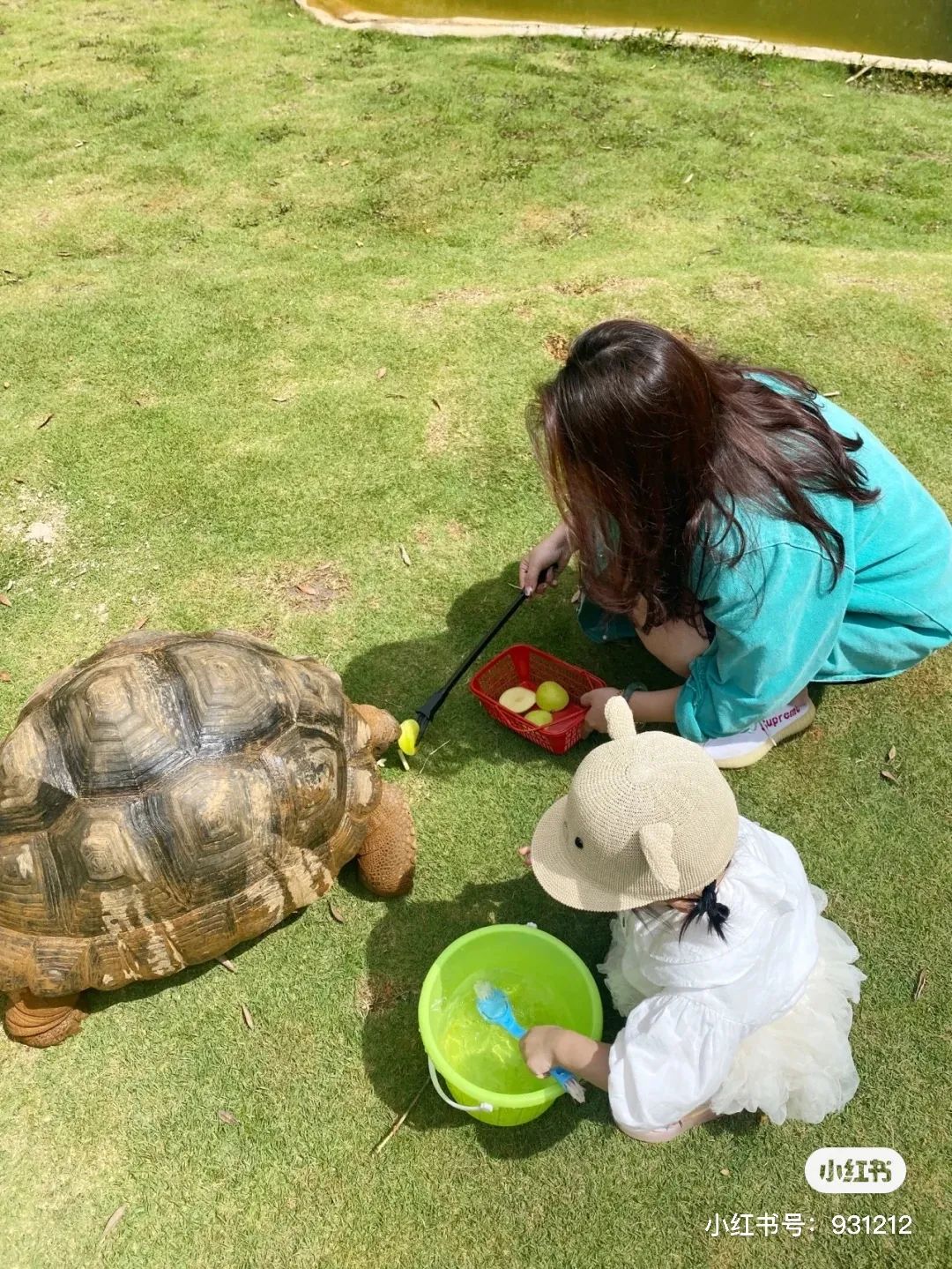 一部手机游云南