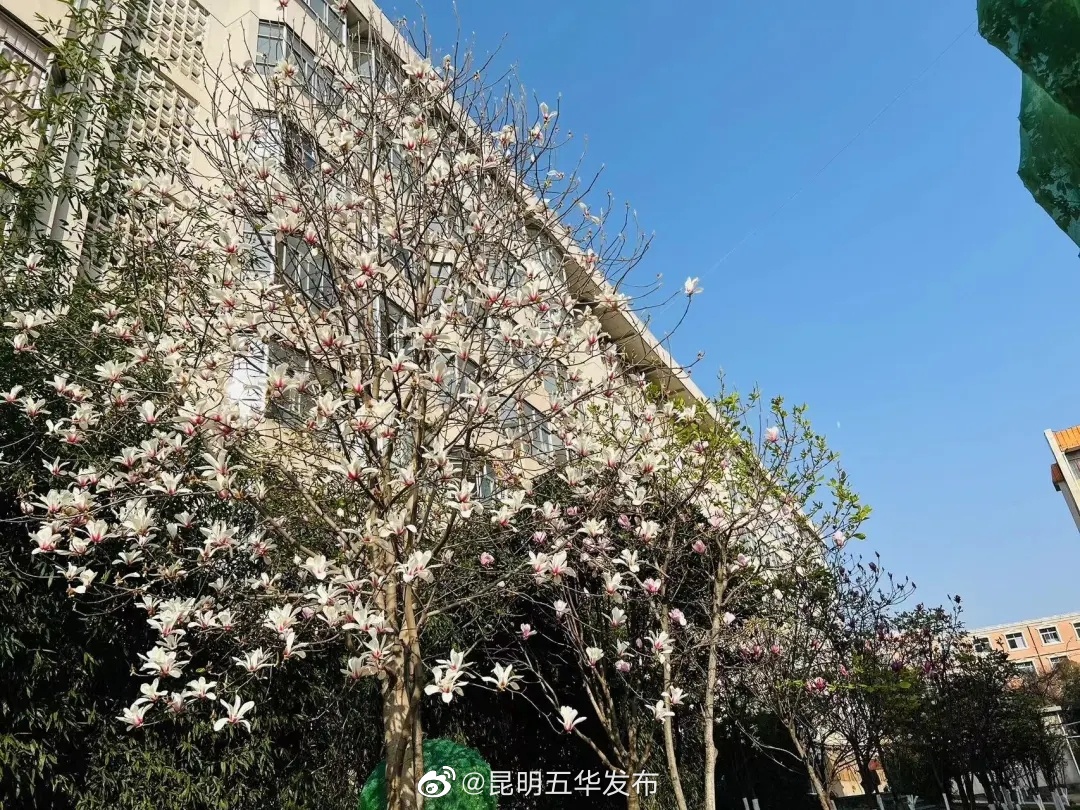 昆明五华发布