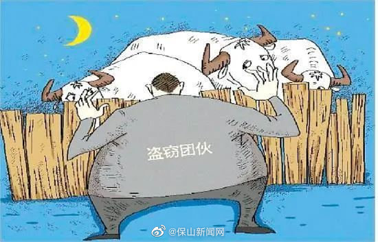 多地惊现“偷羊大盗” 龙陵公安破获系列跨区域盗窃案