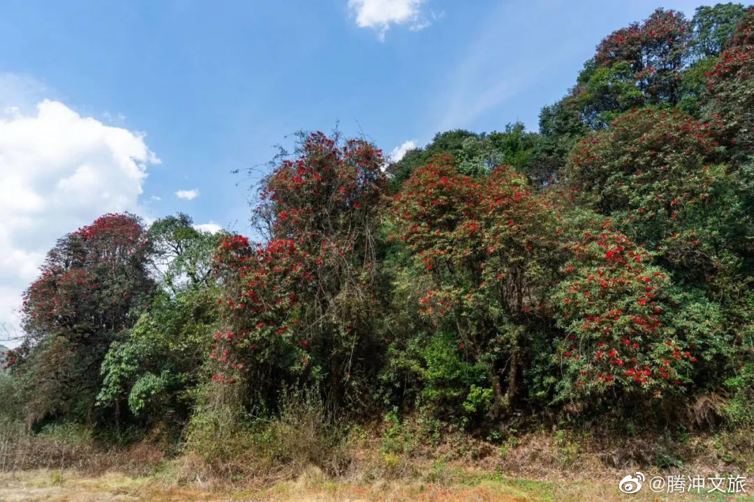腾冲文旅微博