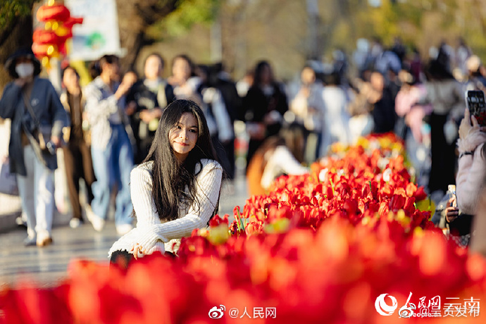 呈贡发布