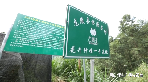 保山广播电视台