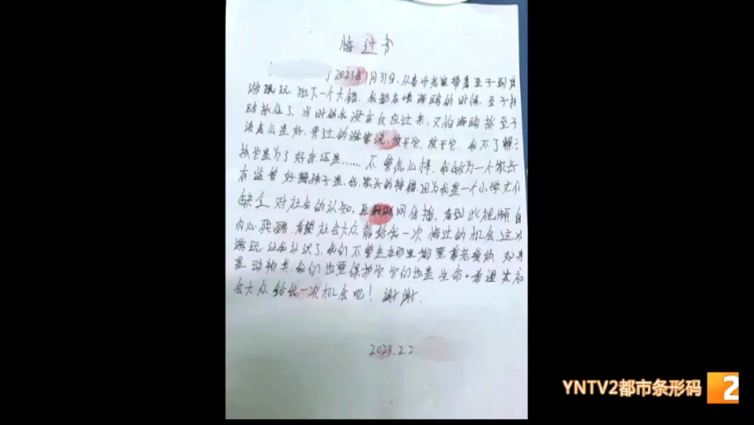 掌上春城