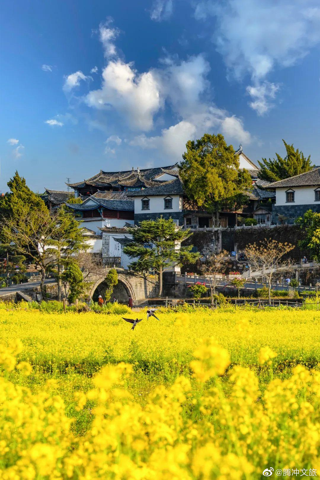 腾冲文旅微博