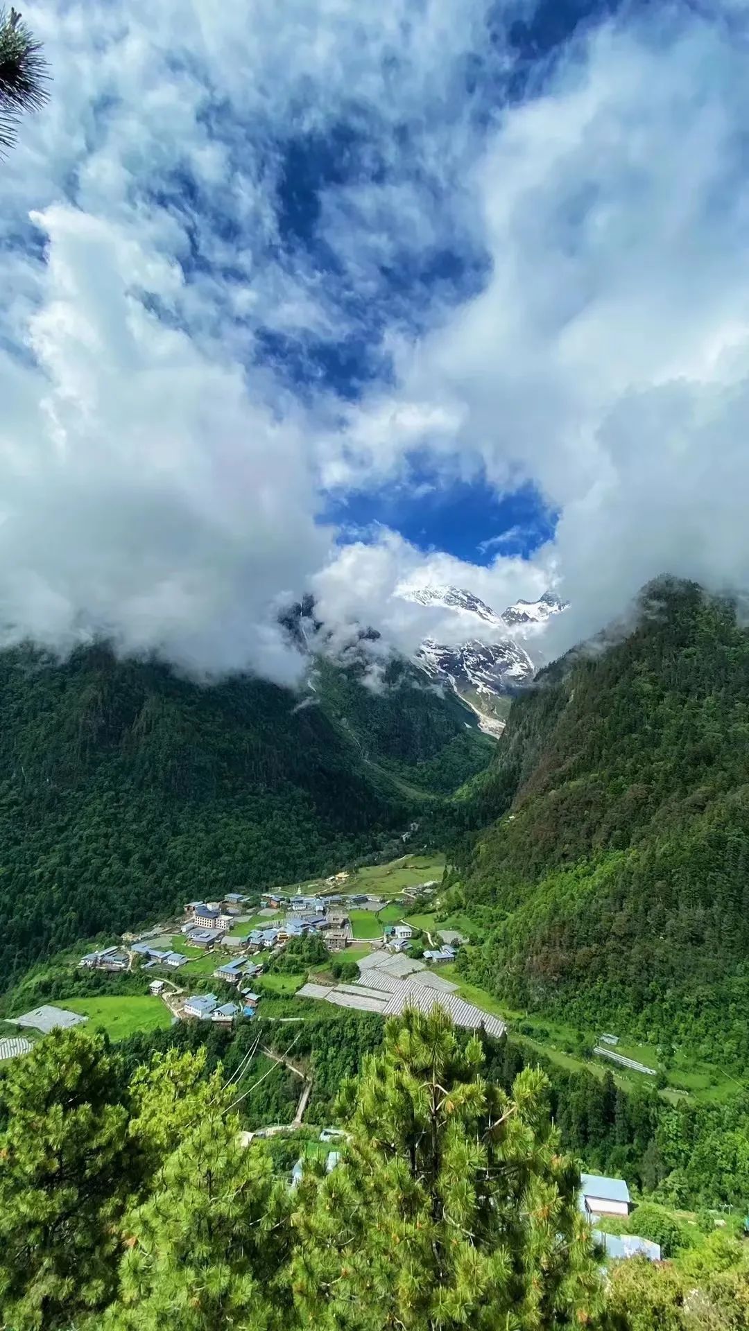 云南省文化和旅游厅