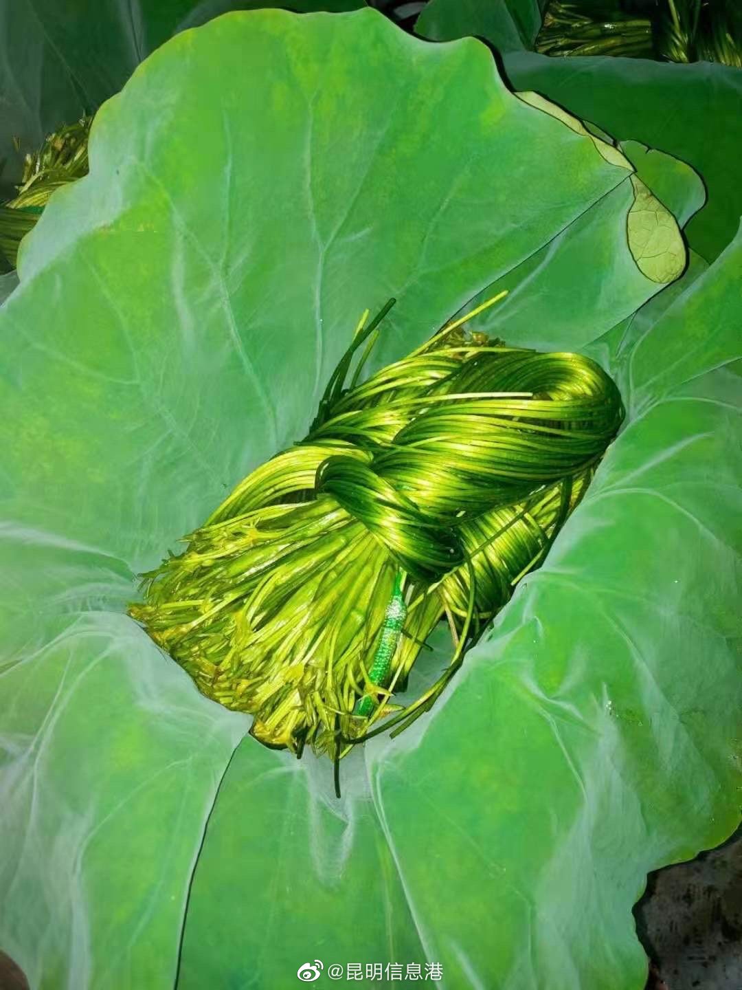 昆明信息港（微博）