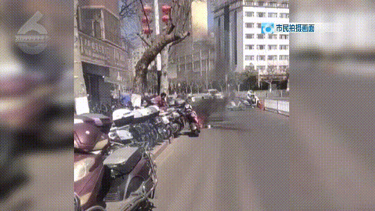 掌上春城