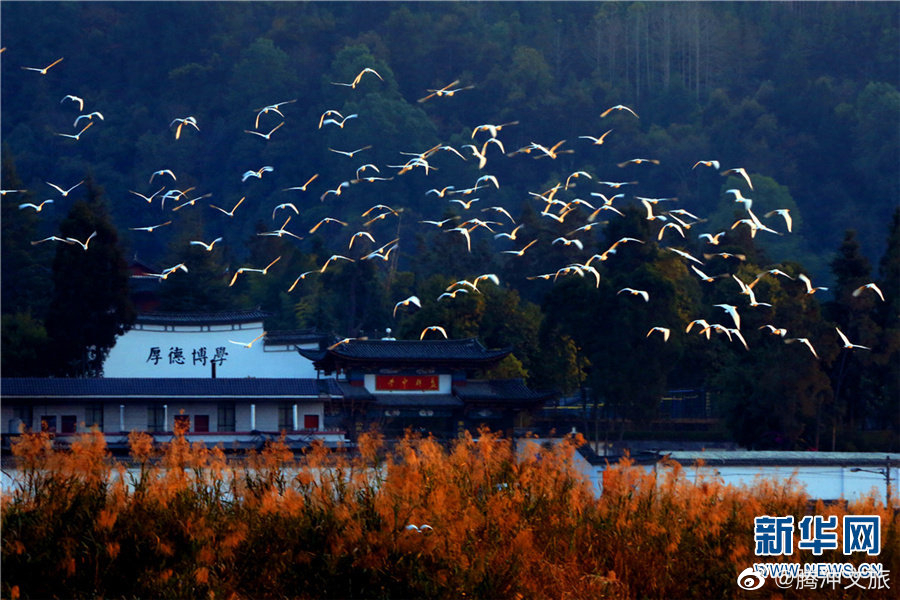 腾冲文旅微博