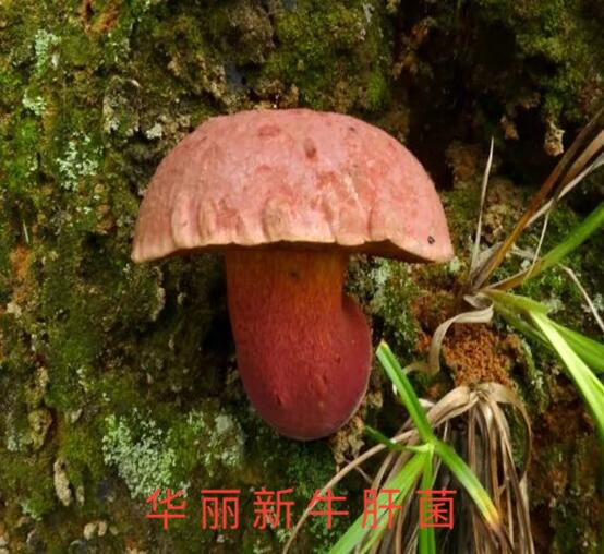 云南疾控