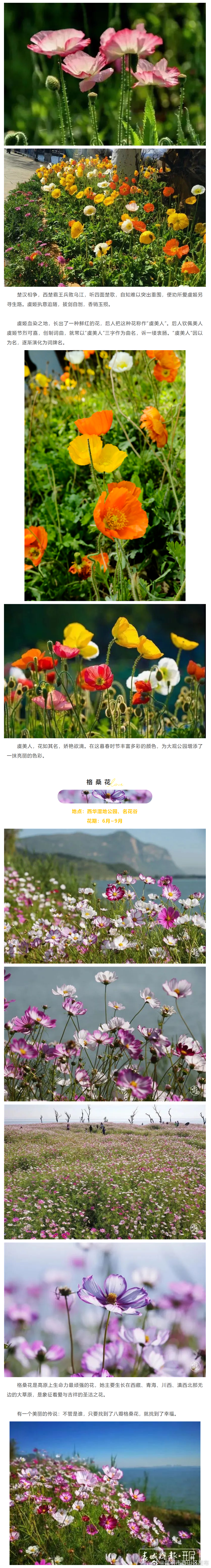 昆明市西山区发布