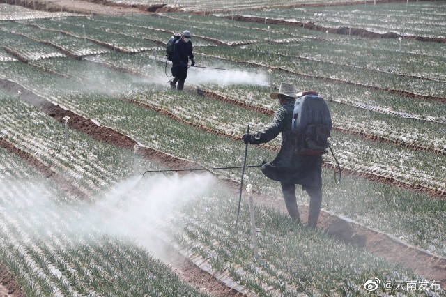 “云南发布”微博