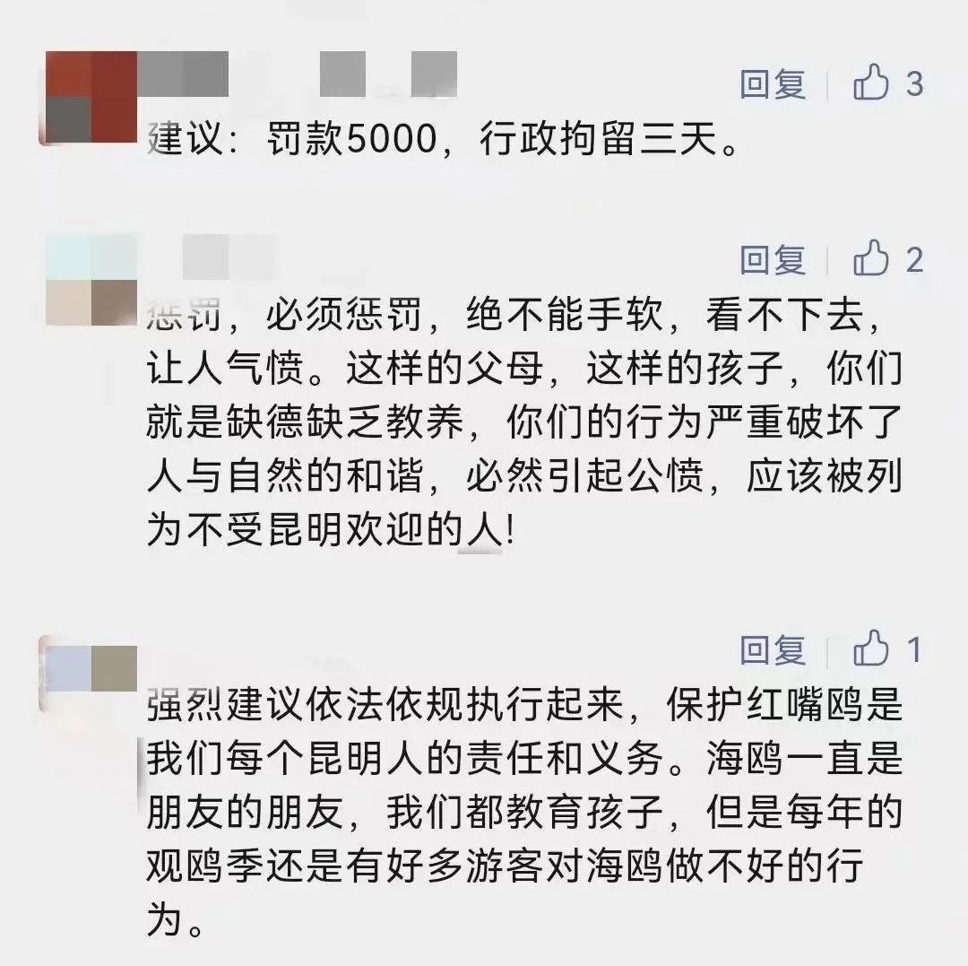 昆明文旅