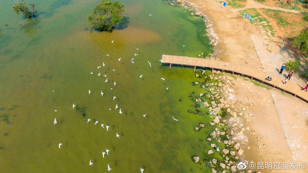 “昆明官渡发布”微博