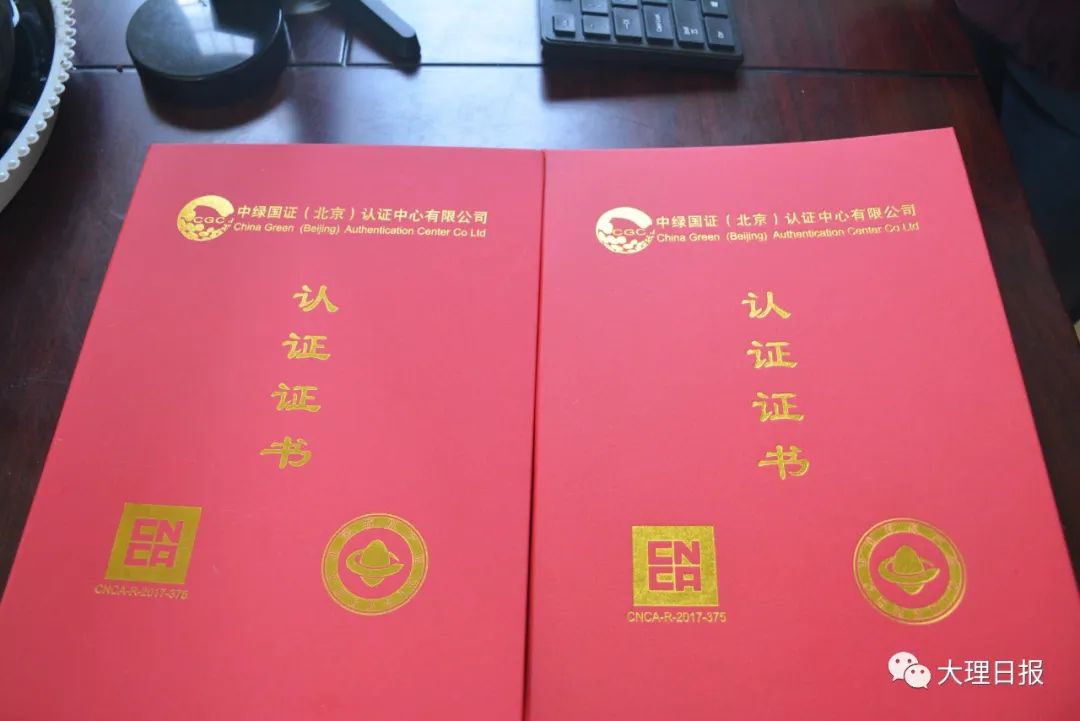 大理日报