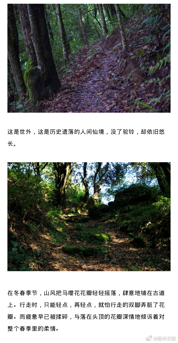 腾冲文旅微博