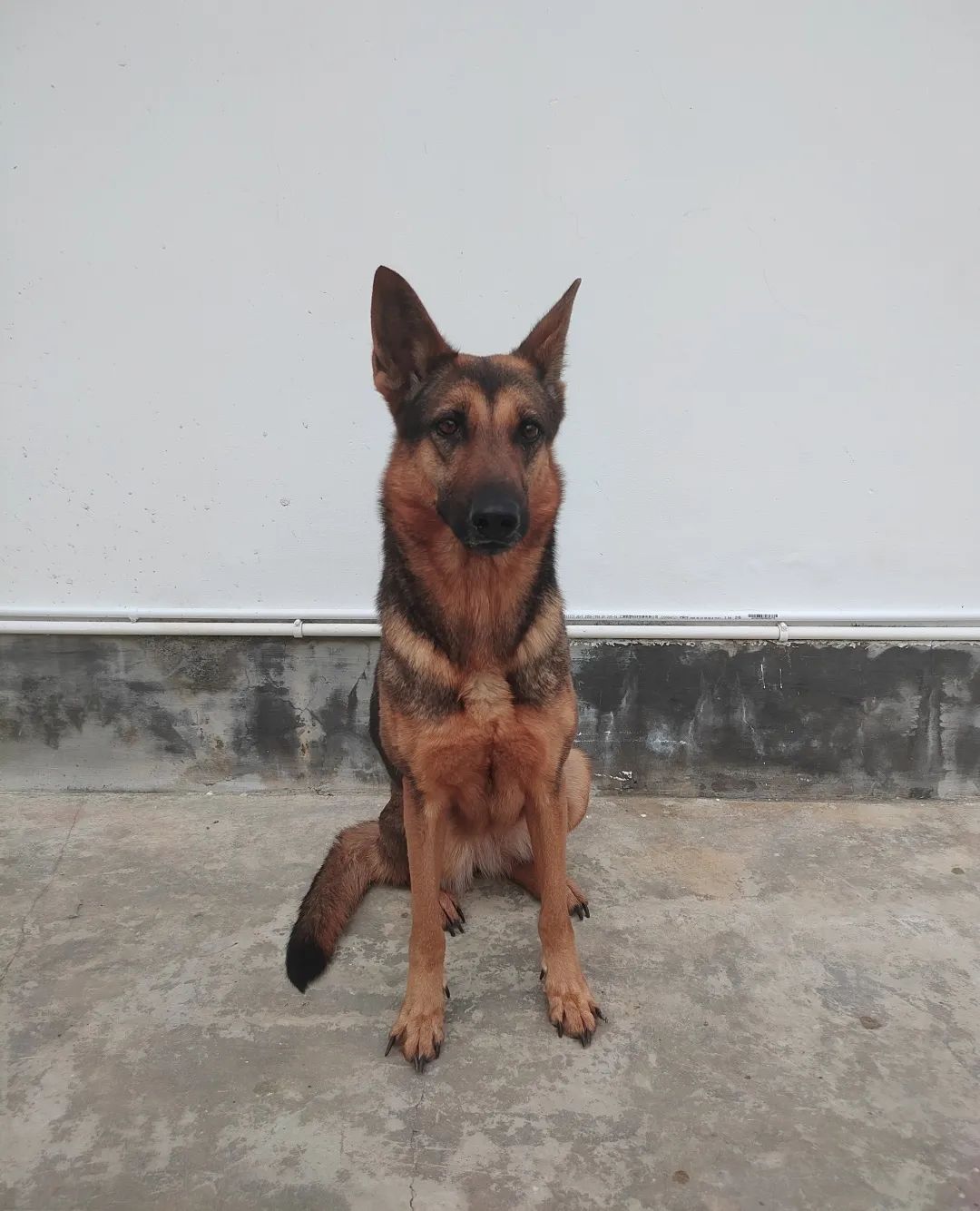 昆明信息港/cnkmxxg