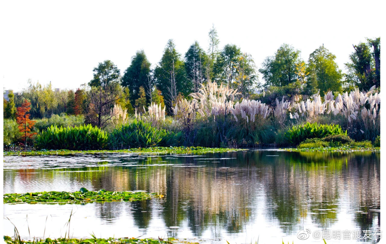 “昆明官渡发布”微博